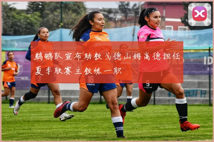 鹈鹕队宣布助教戈德山姆高德担任夏季联赛主教练一职