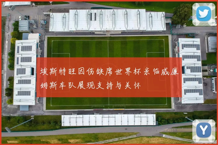 埃斯特旺因伤缺席世界杯亲临威廉姆斯车队展现支持与关怀