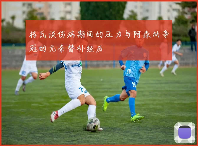 格瓦谈伤病期间的压力与阿森纳争冠的无奈替补经历